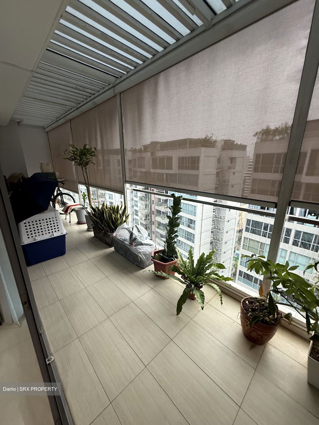 A Treasure Trove (D19), Condominium #506892511